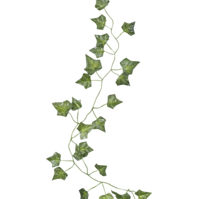 Lauflengja Laufblöð Ivy 2,3m
