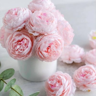 Gerviblóm Peony Fölbleik