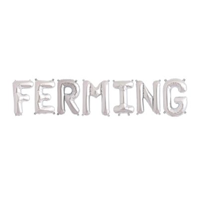 Blöðrur FERMING Silfur