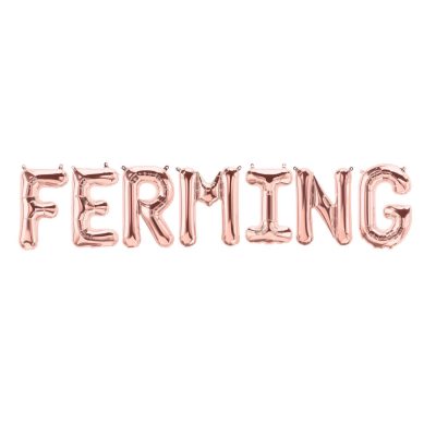 Blöðrur FERMING Rose Gold